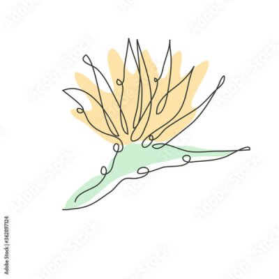 Papier peint  Decorative hand drawn strelitzia flower, design element. Can be used for cards, invitations, banners, posters, print design. Continuous line art style