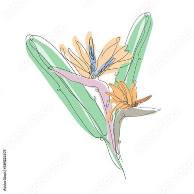Papier peint  Decorative hand drawn strelitzia flower, design element. Can be used for cards, invitations, banners, posters, print design. Continuous line art style