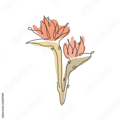 Papier peint  Decorative hand drawn strelitzia flowers, design elements. Can be used for cards, invitations, banners, posters, print design. Continuous line art style