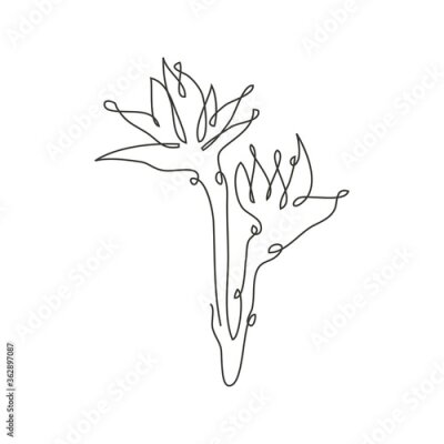 Papier peint  Decorative hand drawn strelitzia flowers, design elements. Can be used for cards, invitations, banners, posters, print design. Continuous line art style