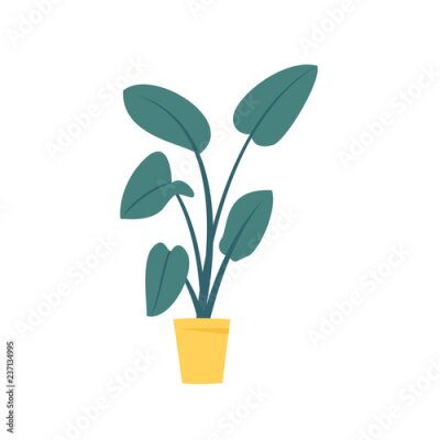 Papier peint  decorative houseplant isolated on white background. trendy  strelitzia plant growing in pot   Flat colorful vector