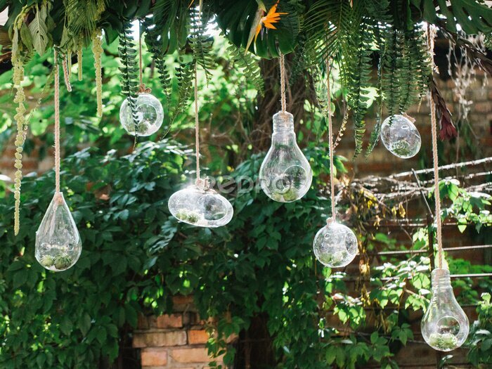 Papier peint  Decorative light bulbs of different sizes and shapes with succulents inside hang from the ceiling along with fern leaves, strelitzia, and tropical leaves.
