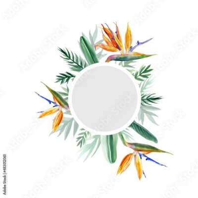 Papier peint  Decorative round frame Bird of paradise flower, watercolor Strelitzia reginae wreath, crane flower hand drawn botanical illustration isolated on white backdrop, exotic tropical plant branch Strelicia