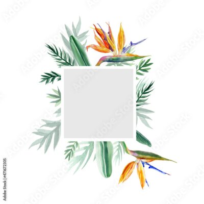 Papier peint  Decorative square frame Bird of paradise flower, watercolor Strelitzia reginae, crane flower hand drawn botanical illustration isolated on white backdrop, exotic tropical plant branch Strelicia
