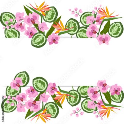Papier peint  Delicate orchids and tropical leaves with a frame and place for your text on a white background.
