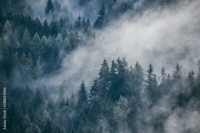 Papier peint  Dense morning fog in alpine landscape with fir trees and mountains. 