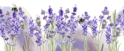 Papier peint  Des abeilles sur des fleurs de lavande