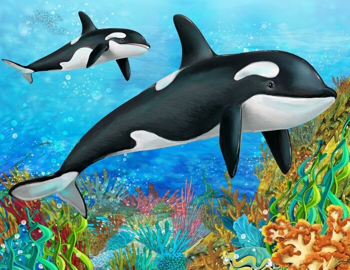 Papier peint  Des animaux aquatiques et un récif corallien