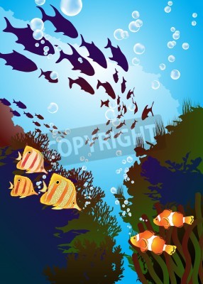 Papier peint  Des bancs de poissons nageant dans l'eau