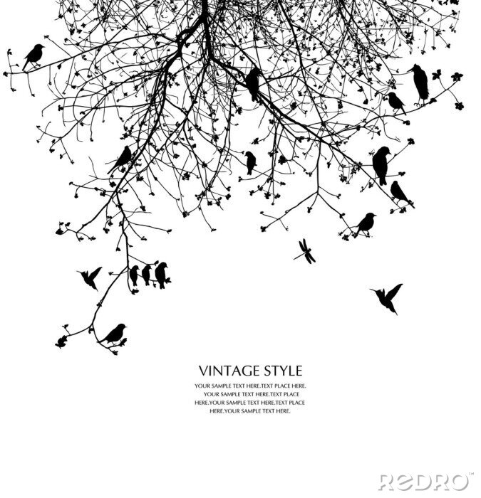 Papier peint  Des oiseaux noirs sur un arbre