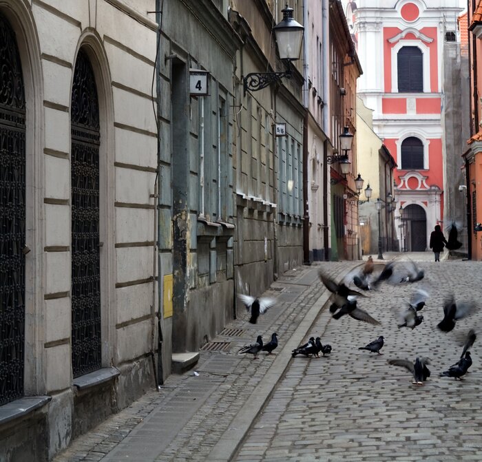 Papier peint  Des oiseaux sur le pavé