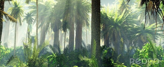 Papier peint  Des palmiers dans la jungle