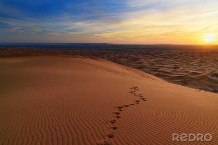 Papier peint  Des pas dans le désert