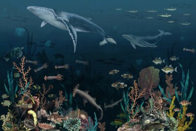 Papier peint  Des poissons au fond de l'océan
