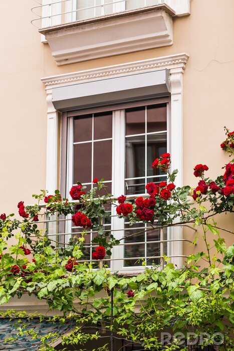 Papier peint  Des roses rouges à la fenêtre