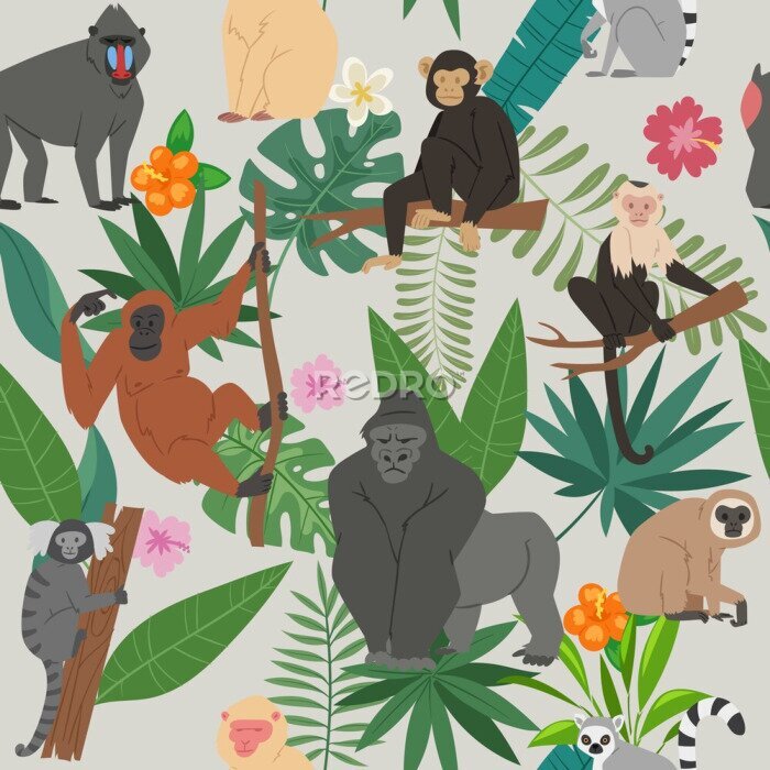 Papier peint  Des singes au milieu de feuilles tropicales