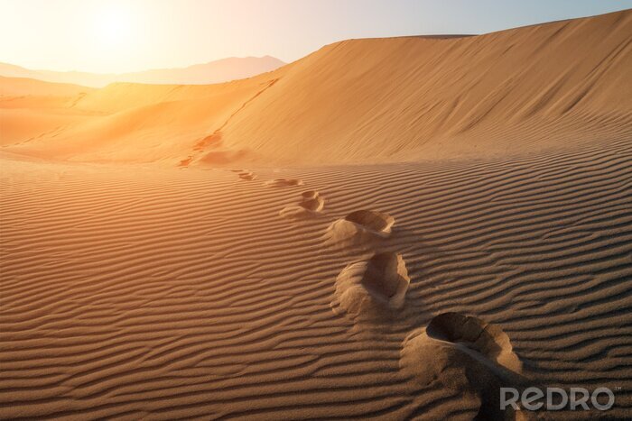 Papier peint  Des traces de pas dans le désert