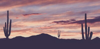 Papier peint  Désert du Far West vintage avec des cactus