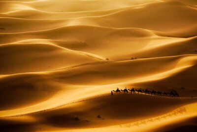 Papier peint  désert du Sahara