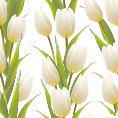 Papier peint  Dessin avec des tulipes blanches