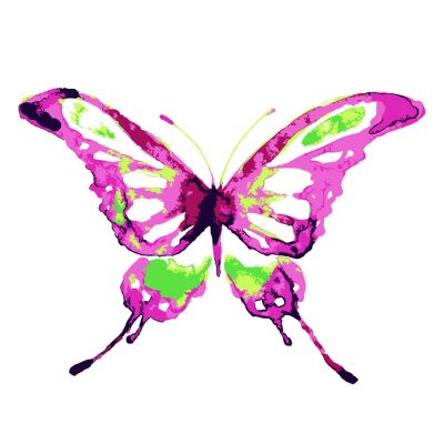 Papier peint  Dessin coloré et petit papillon