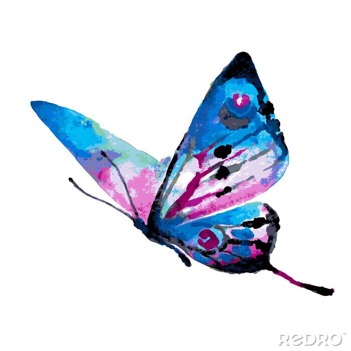 Papier peint  Dessin colorés avec un papillon