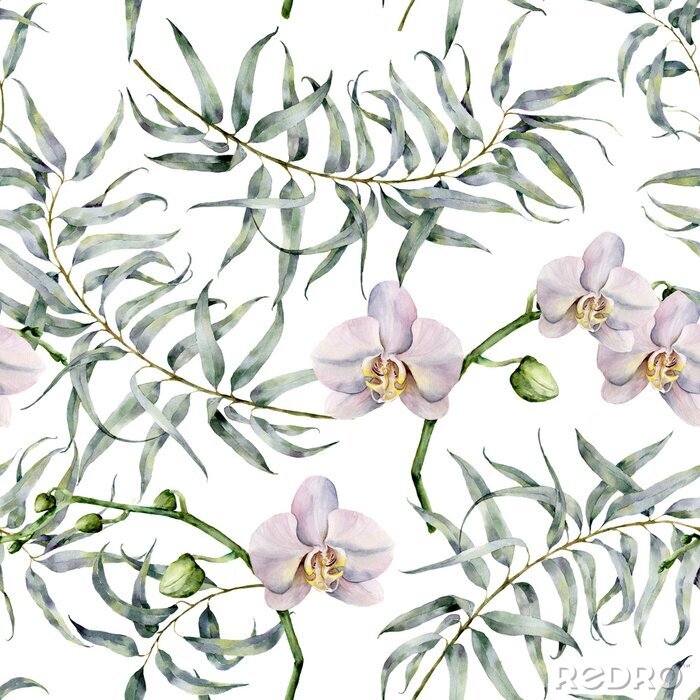 Papier peint  Dessin d'aquarelle tropique avec des eucalyptus et des orchidées blanches. Main, peint, exotique, ornement, branches, feuilles, isolé, blanc, fond Impression naturelle pour le design, le tissu.