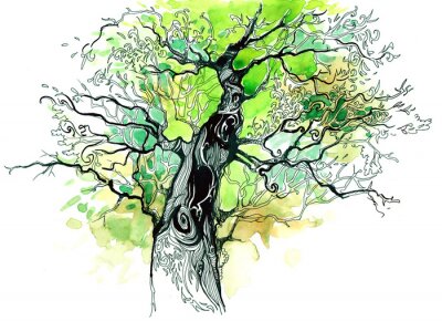 Papier peint  Dessin d'un arbre avec une couronne verte