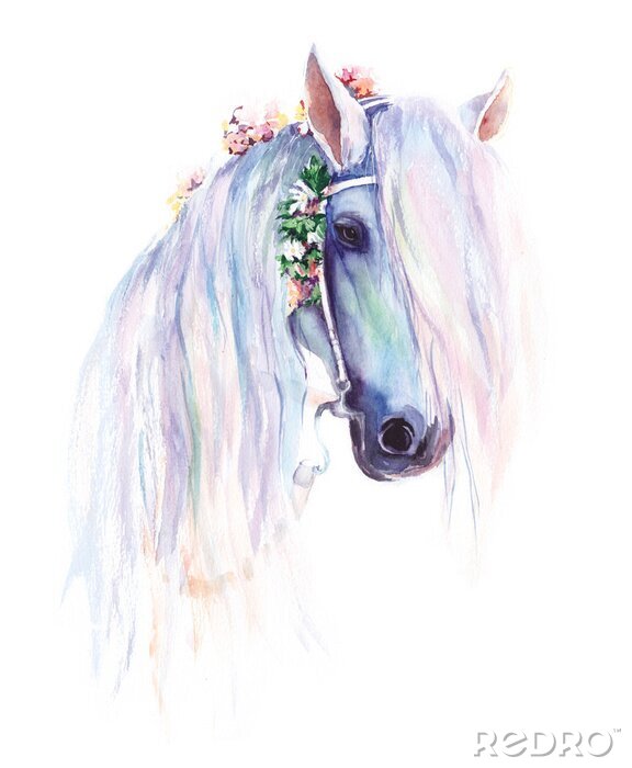 Papier peint  Dessin de cheval blanc aux tonalités pastels