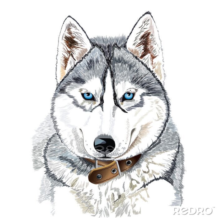 Papier peint  Dessin de chien gris