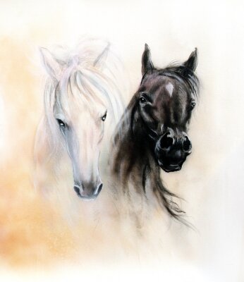 Papier peint  Dessin de deux chevaux