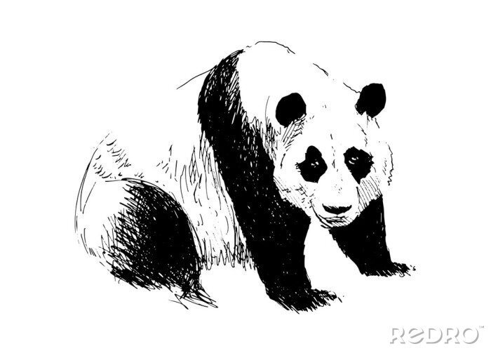 Papier peint  Dessin de panda noir et blanc