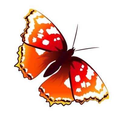 Papier peint  Dessin de papillon rouge
