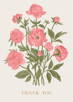 Dessin stylisé de pivoines roses