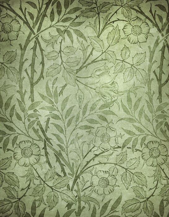 Papier peint  Dessin vert avec des plantes