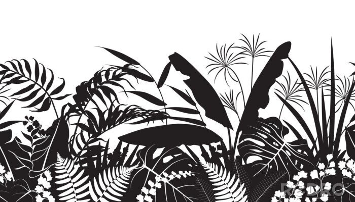 Papier peint  Dessiner des feuilles tropicales en noir et blanc