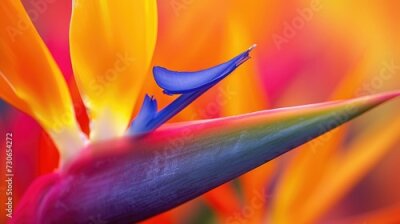 Papier peint  Detailed close-up unveils the exquisite beauty of a Strelitzia blossom in full bloom, Ai Generated.
