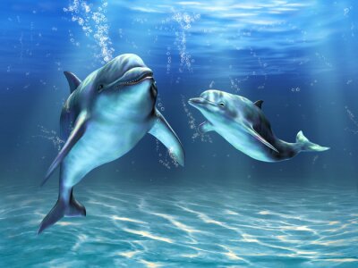 Papier peint  Deux dauphins nageant dans l'eau bleue
