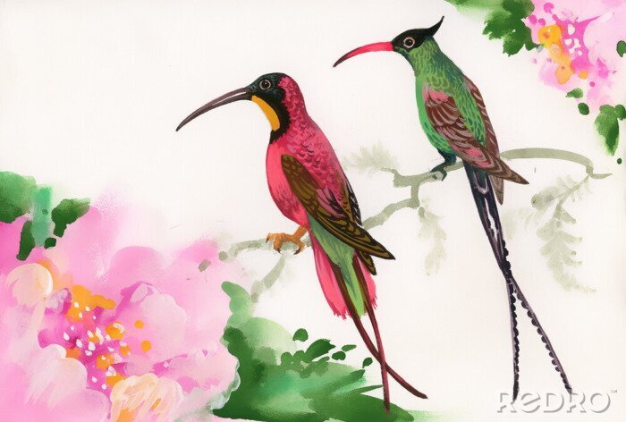 Papier peint  Deux oiseaux près de fleurs roses