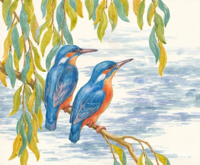 Papier peint  Deux oiseaux version peinture