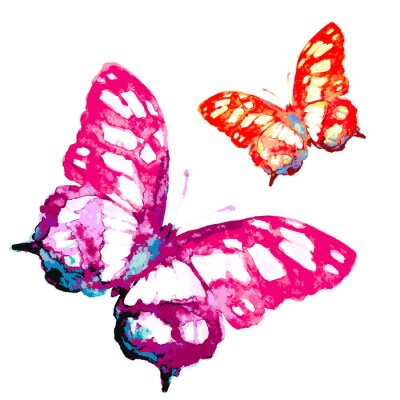 Papier peint  Deux papillons aquarelle