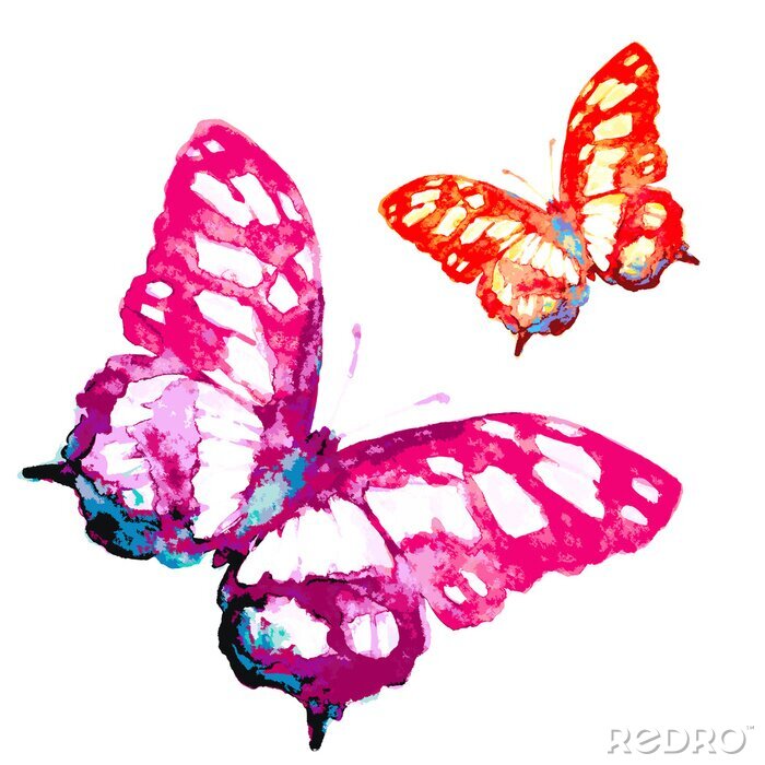 Papier peint  Deux papillons aquarelle