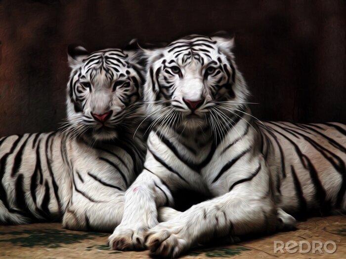 Papier peint  Deux tigres style peinture à l'huile