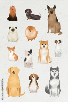Papier peint  Différentes races de chiens