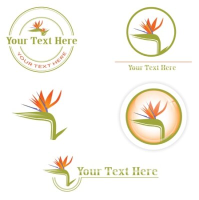 Papier peint  différents modèles à l'orange Oiseau de paradis de fleurs (Strelitzia)