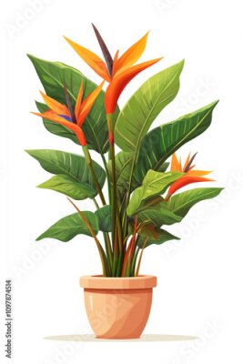 Papier peint  Drawing of home plant strelitzia in flower pot isolated on white background	