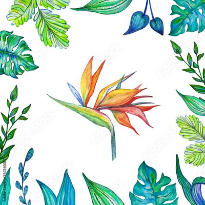 Papier peint  Drawn design banner with summer 
leaves and flower 
strelitzia. Card for summer season with 
leaves, herb. Promotion offer with spring plants, leaves and decoration.