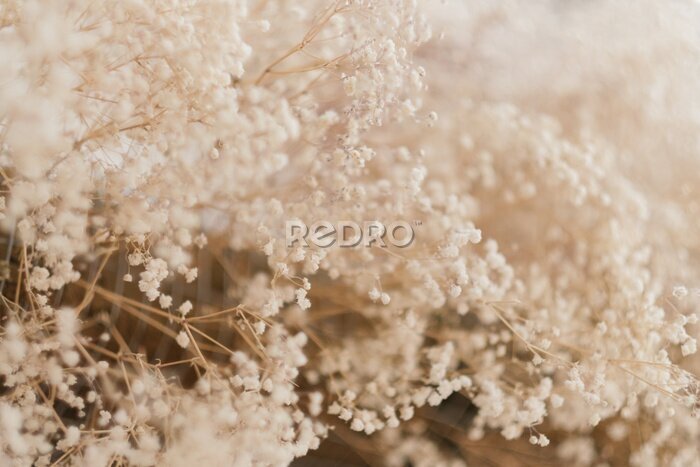 Papier peint  Dried foliage background. Creative pattern design. Floral art composition.