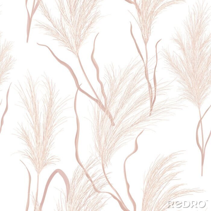 Papier peint  Dry pampas grass seamless vector pattern. Watercolor floral autumn background. Boho fall texture illustration