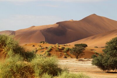 Papier peint  Dunes d'un désert en Afrique